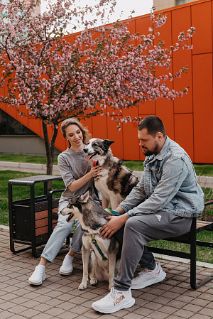 Фотосессия с питомцем